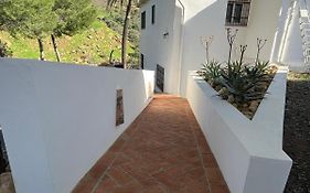 El bufon de la corte